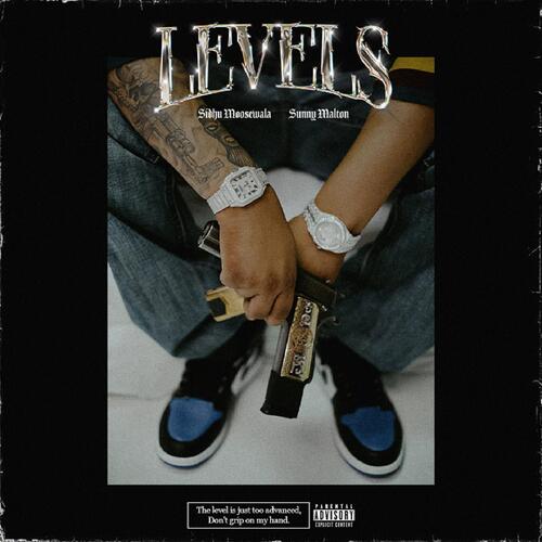 Levels (feat. Sunny Malton) - Sidhu Moose Wala