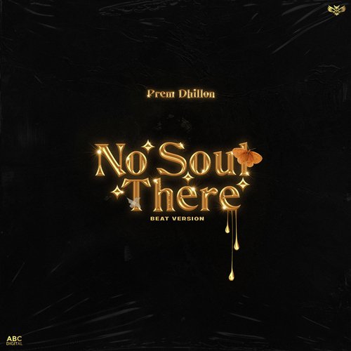 No Soul There (Beat Version) - Prem Dhillon