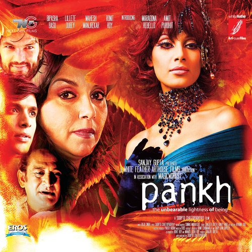 Pankh Theme (Pankh)