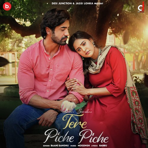 Tere Piche Piche - Baani Sandhu