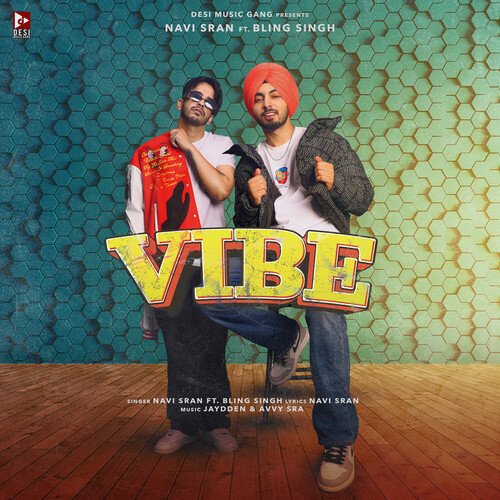 VIBE - Navi Sran